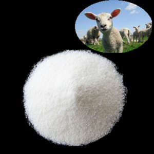 Betaine HCl 98.5% Feed High Quality China Super Supply