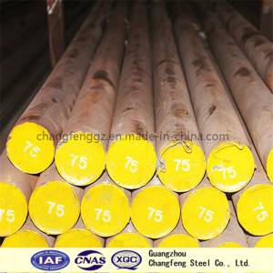 High Quality Mould Steel Round Bar (NAK80, P21)